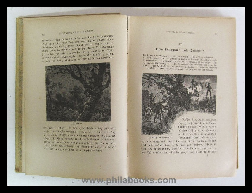 Hoffuss, Dr. E., Seven years in South Africa, experiences, research...